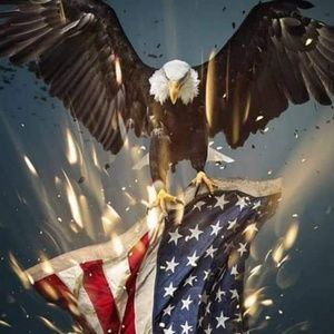 Meet your Posher, Rich